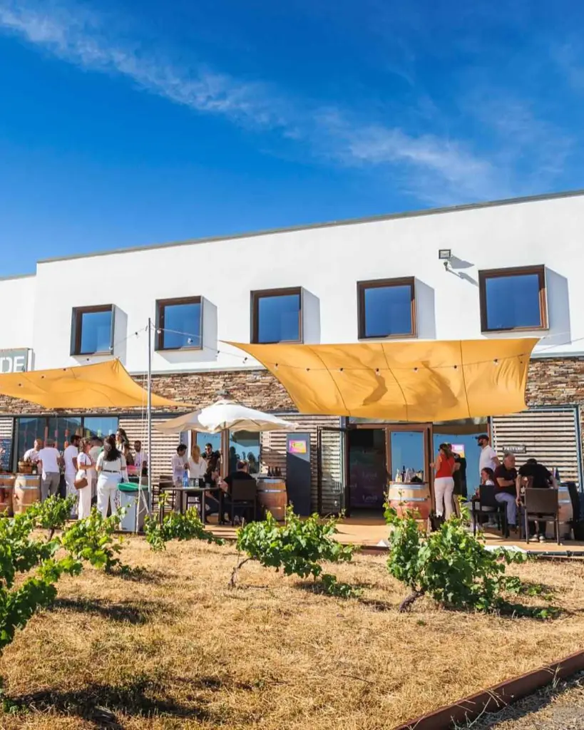 Bodegas La Divisa, experience2.webp