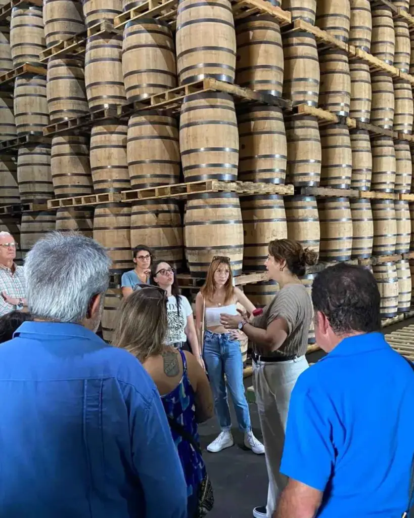 Bodegas Paez Morilla, experience2.webp