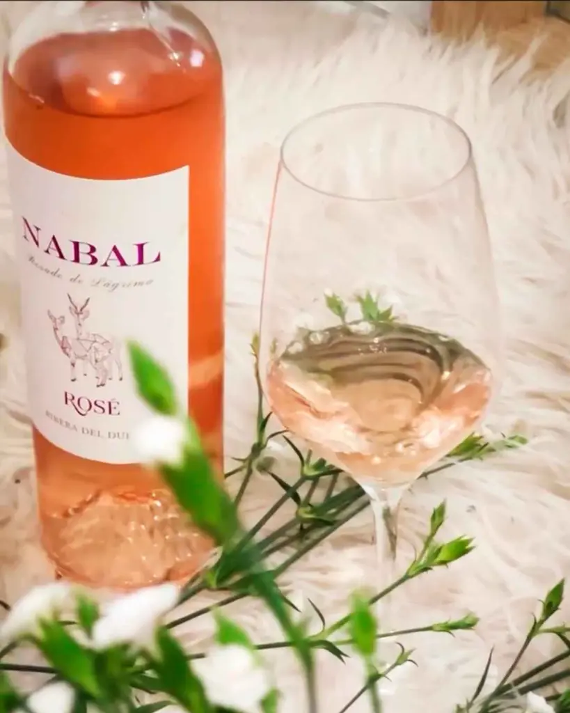 Bodegas Nabal, experience3.webp