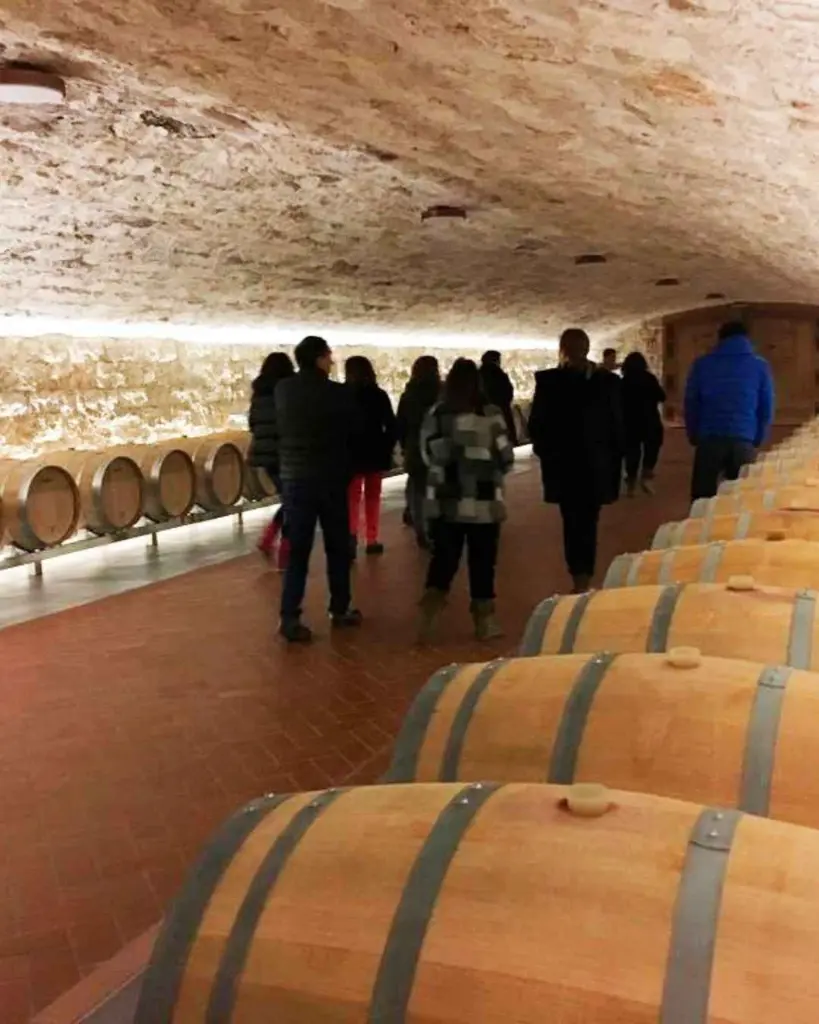 Bodegas Nabal, experience4.webp