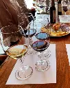 Bodegas Nabal, experience8.webp