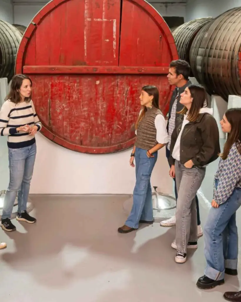 Bodegas De Alberto, experience3.webp