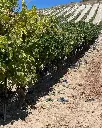 Dominio Lubiano, experience6.webp