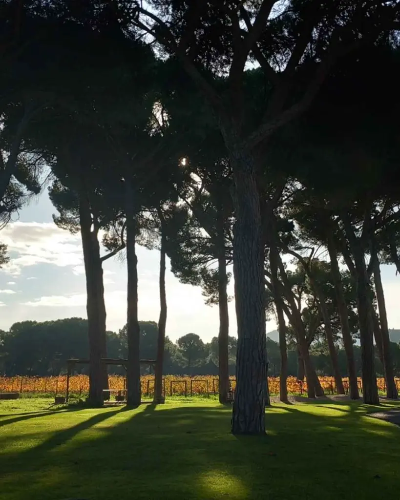 finca Villacreces, experience2.webp