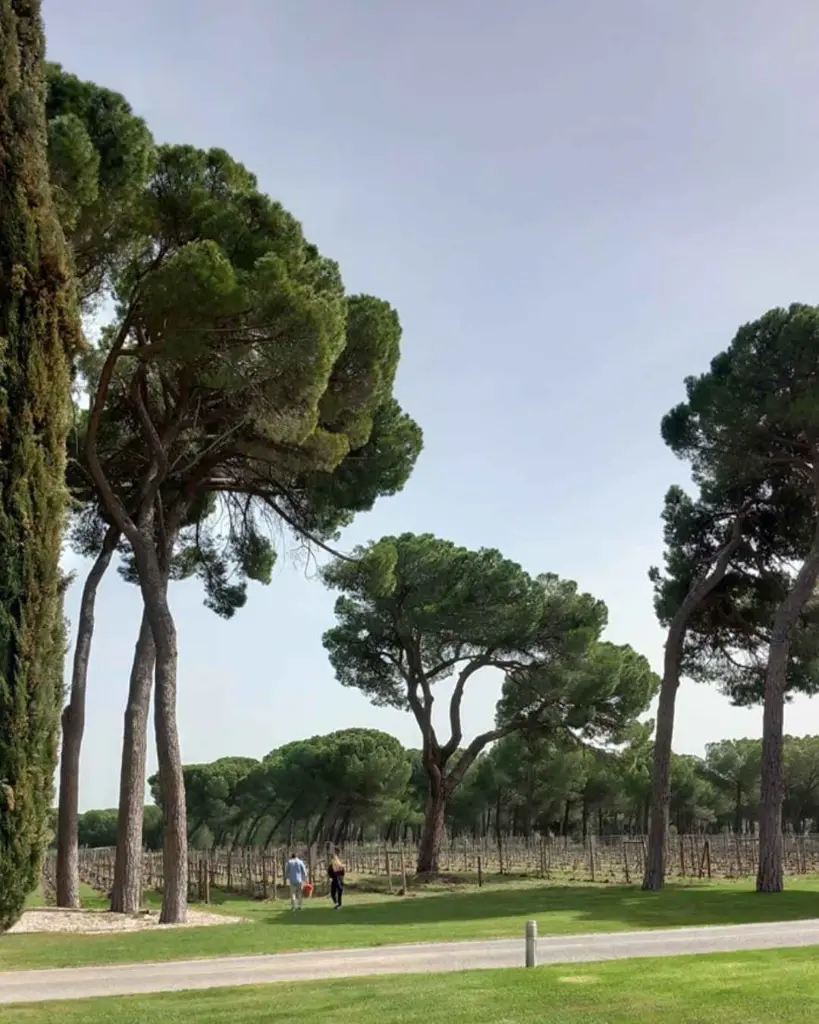 Finca Villacreces, experience6.webp