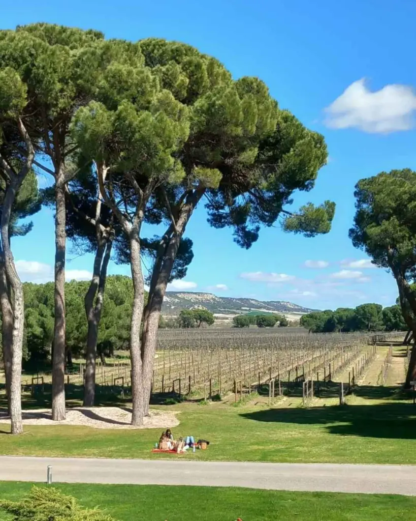 Finca Villacreces, experience8.webp