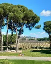 Finca Villacreces, experience8.webp