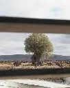 Bodega Tr3smano, experience2.webp