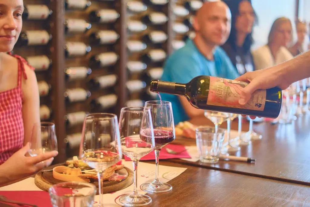 chianti winery wine tour.webp