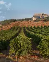 Finca Montepedroso, experience2.webp