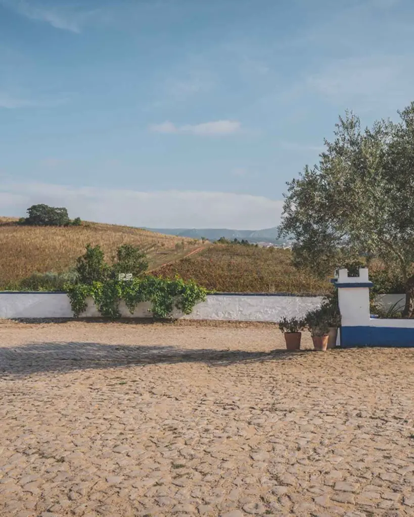 quinta lanscape.webp