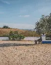 quinta lanscape.webp