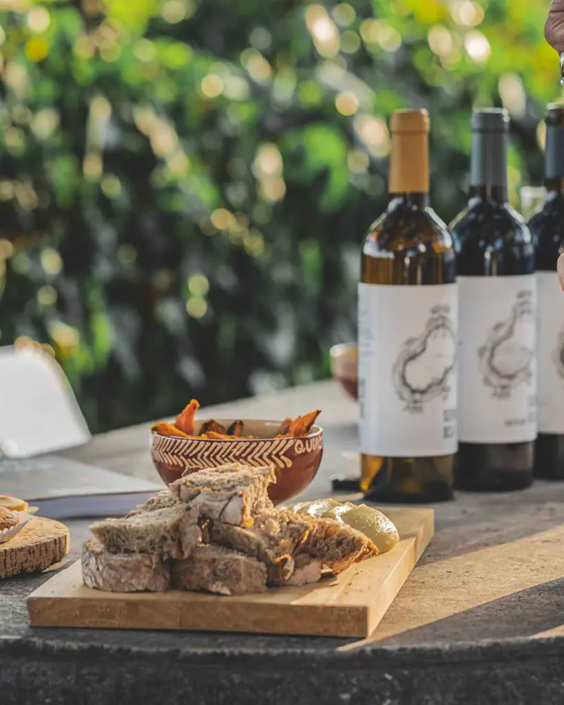 wine tasting experience quinta Murta.webp