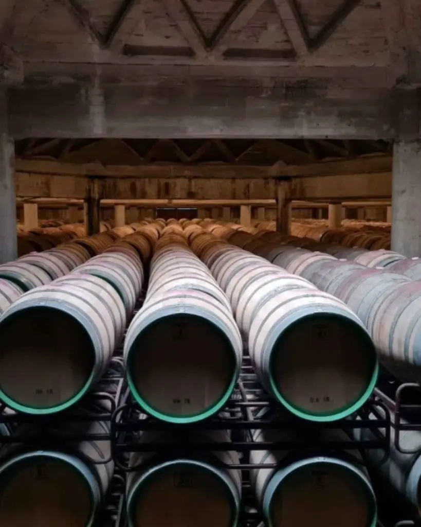 Olarra wine cellar.webp