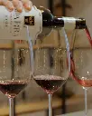 Olarra tasting.webp