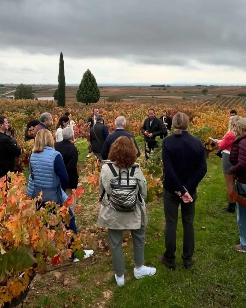 Viña Pedrosa - Bodegas Hermanos Pérez Pascuas, experience2.webp