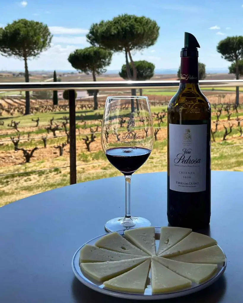 Viña Pedrosa - Bodegas Hermanos Pérez Pascuas, experience4.webp