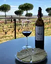 Viña Pedrosa - Bodegas Hermanos Pérez Pascuas, experience4.webp