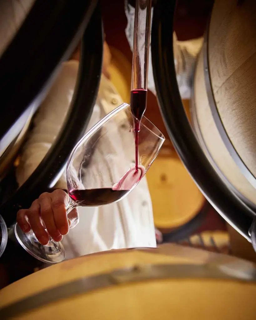 Bodegas Virtus, experience3.webp