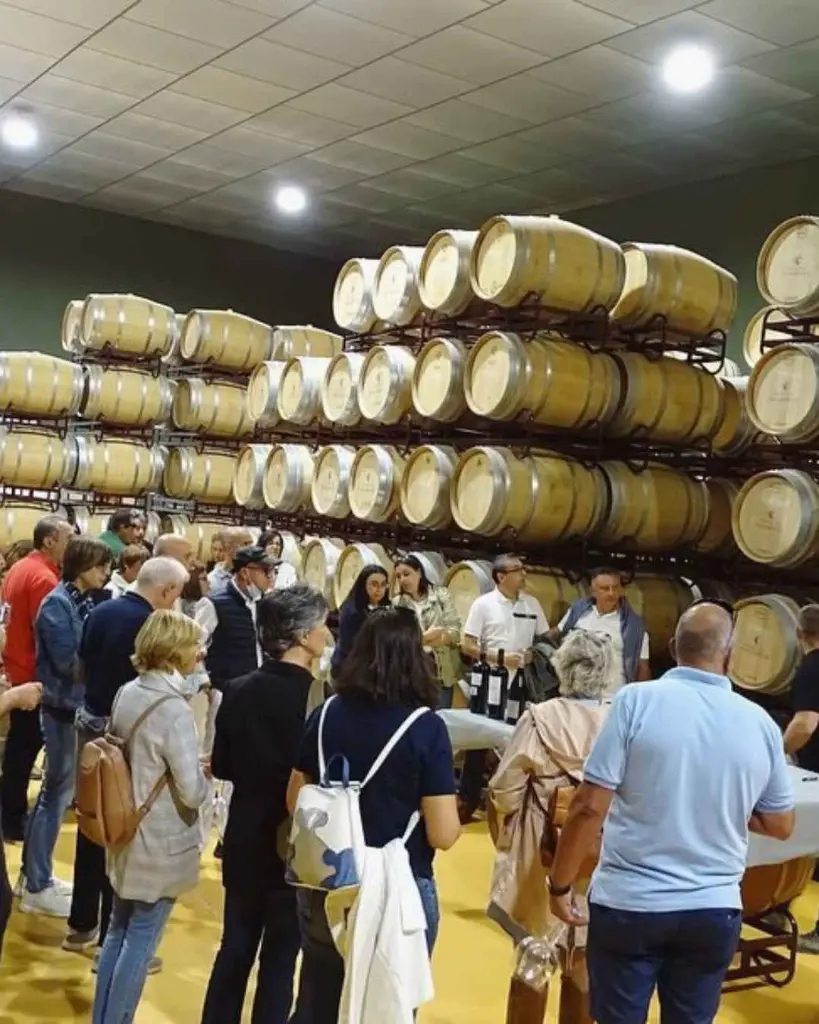 Palacio De Villachica, experience2.webp