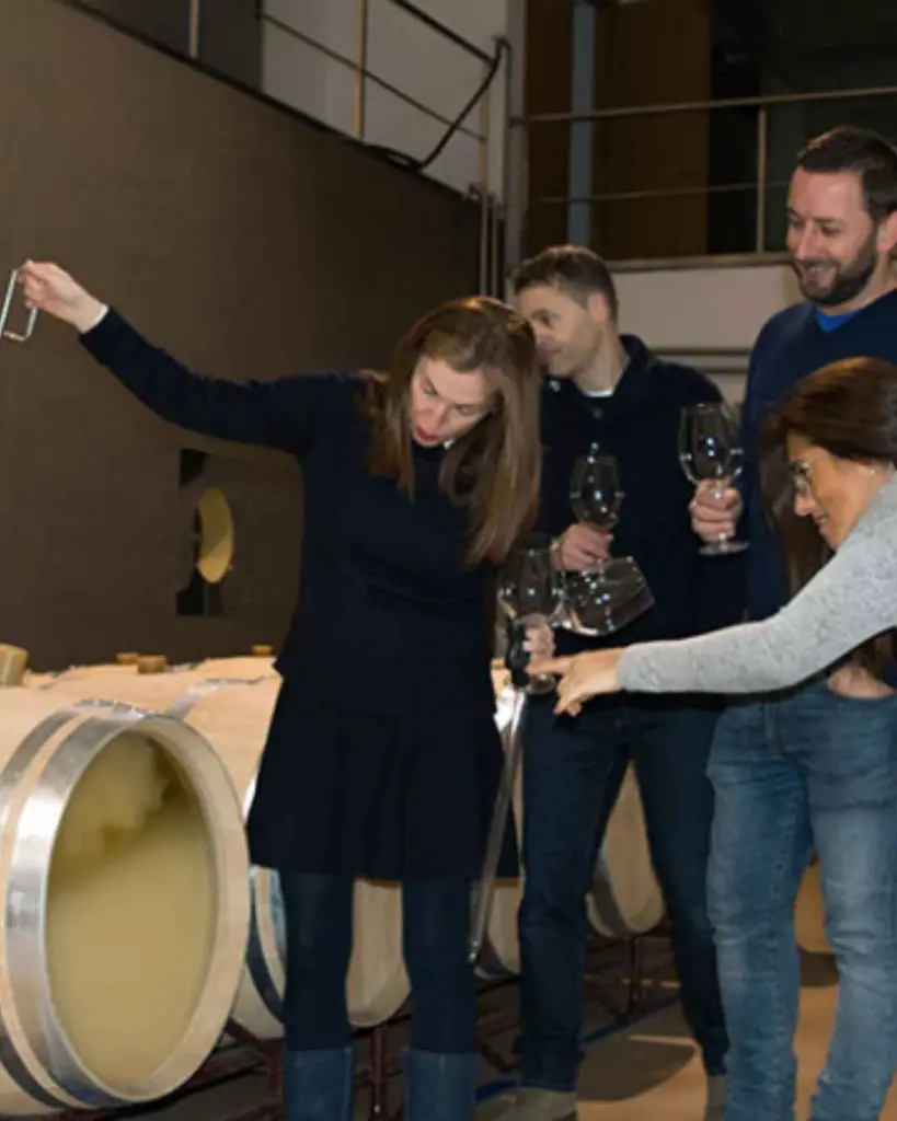Bodegas Tobelos experience 1.webp