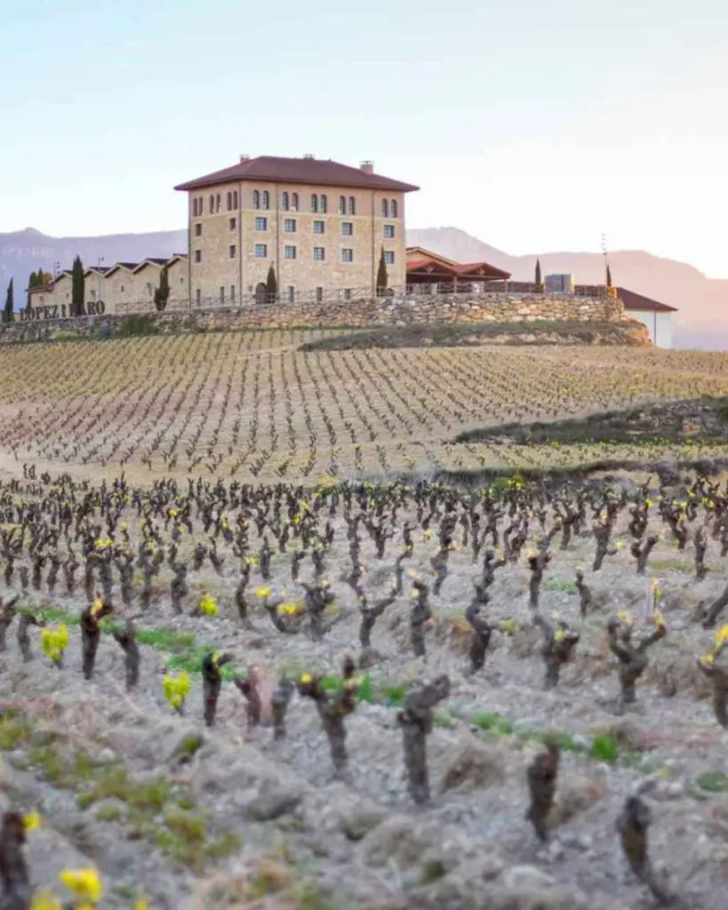 Hacienda Lopez de Haro 4.webp