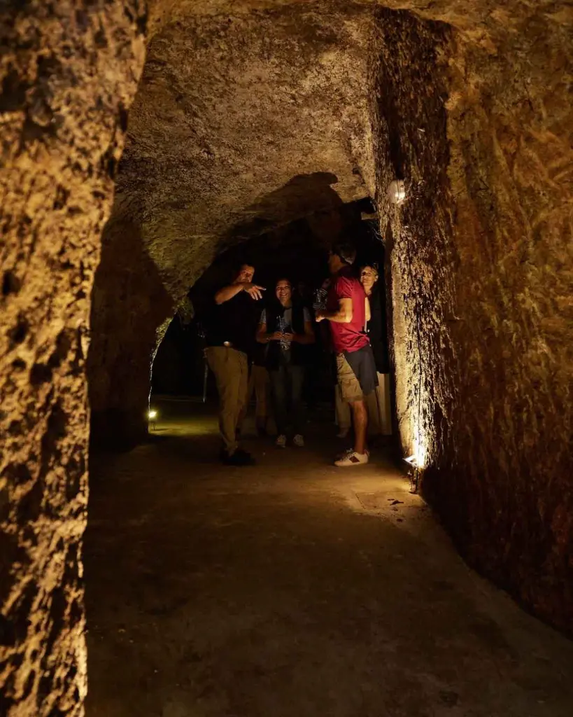 Bodegas Menade, experience2.webp