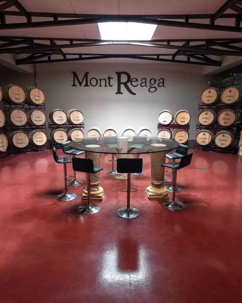 Mont Reaga, experience4.webp