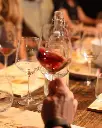 Montechiaro experience 2.webp