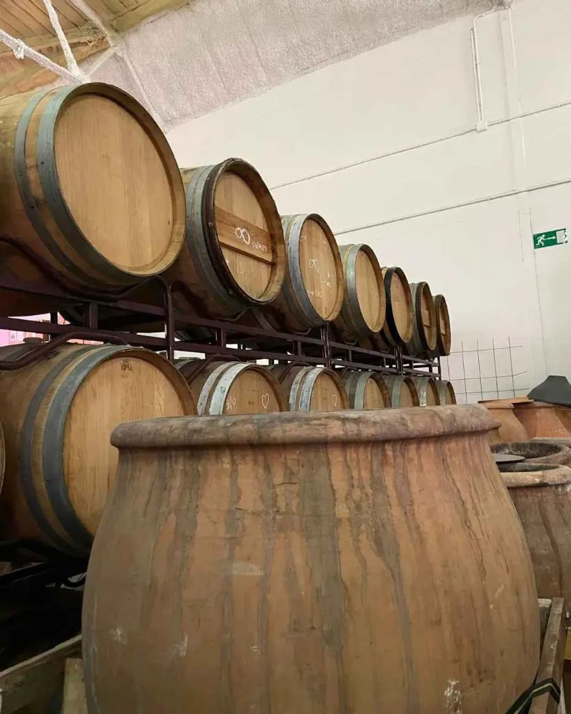 Bodegas Gratias, wine cellar1.webp