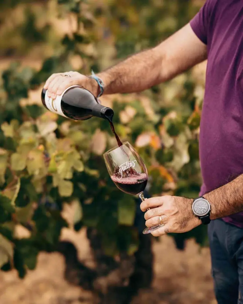 Bodegas Gratias, wine tasting experience.webp