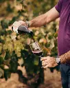 Bodegas Gratias, wine tasting experience.webp