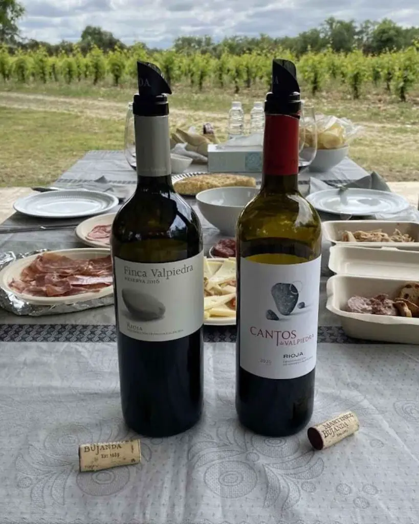 Finca food and wine tasting.webp