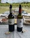 Finca food and wine tasting.webp