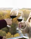 Finca Valpiedra experience 1.webp