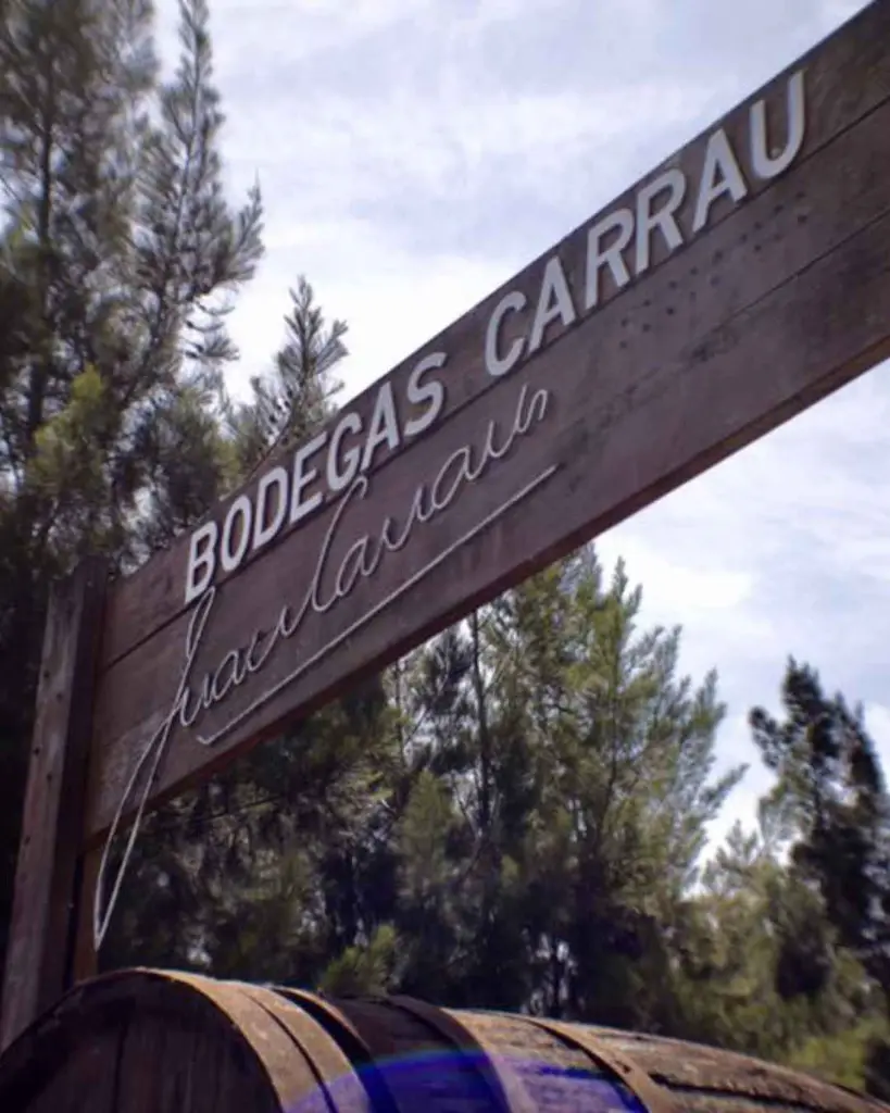 Bodegas Carrau, wine experience.webp