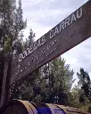 Bodegas Carrau, wine experience.webp