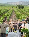 bodegas amézola de la mora private experience vineyards.webp