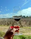 Bodegas Amézola de la Mora private experience tasting.webp
