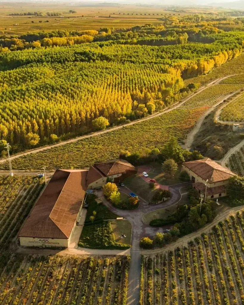 bodegas amézola de la mora exclusive tour tasting.webp