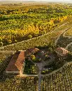 bodegas amézola de la mora exclusive tour tasting.webp