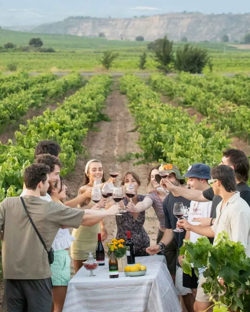 bodegas amézola de la mora private experience vineyards.webp