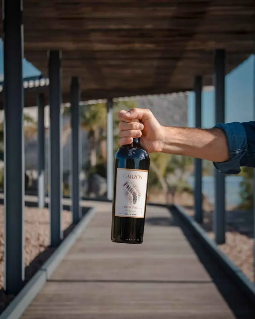 Bodega Garzon, Wine tasting.webp