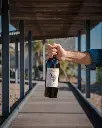 Bodega Garzon, Wine tasting.webp