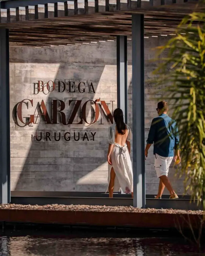 Bodega Garzon, guided tour.webp