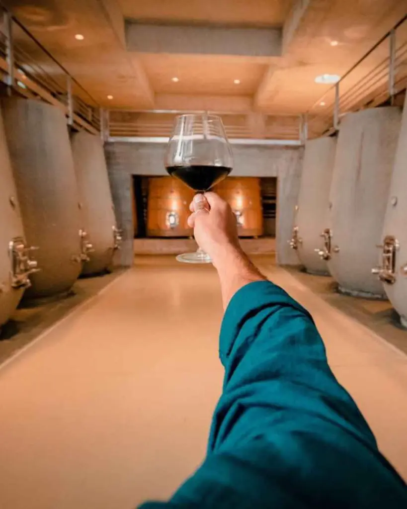 Bodega Garzon, wine cellar.webp