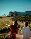 Bodega Garzon, vineyard tour.webp