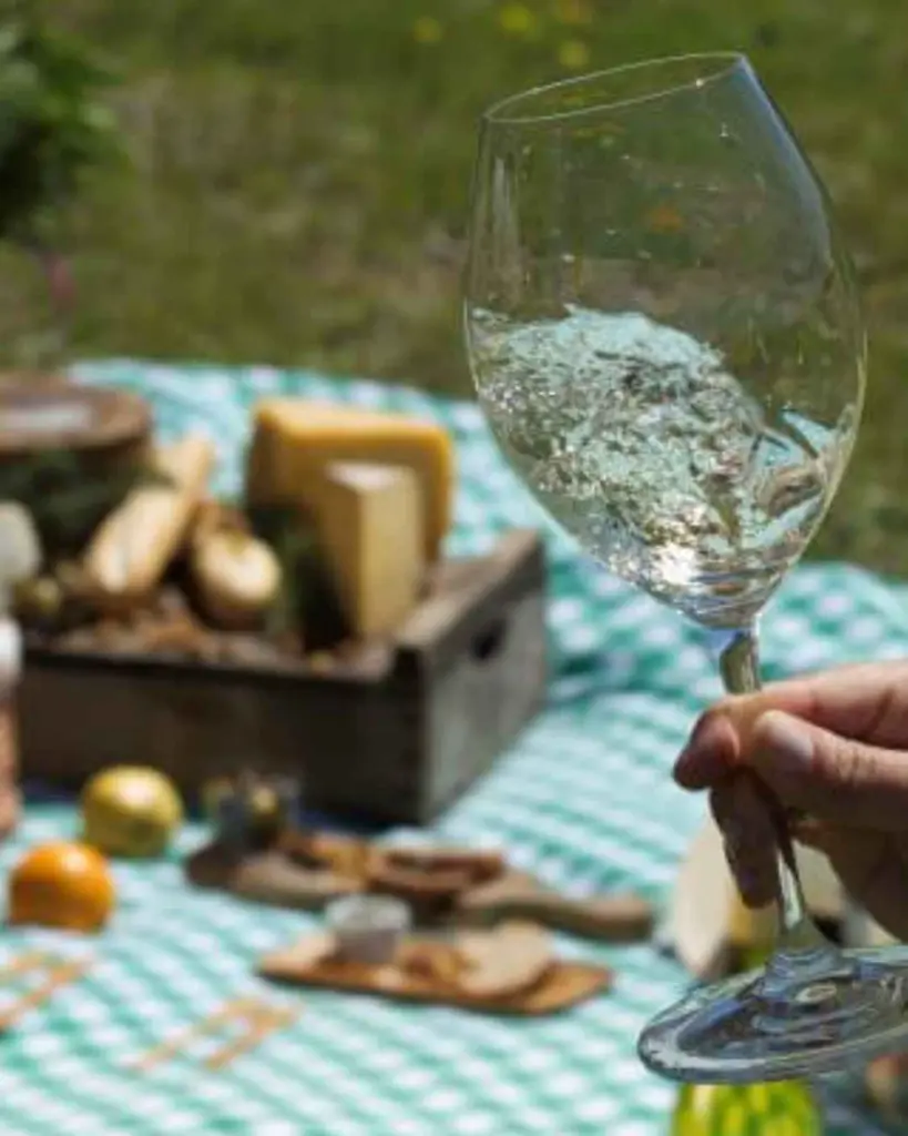 Bodega Garzon, outdoor experience.webp