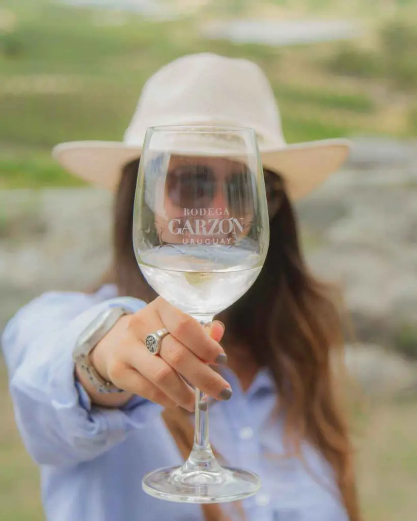 Bodega Garzon, outdoor tasting.webp