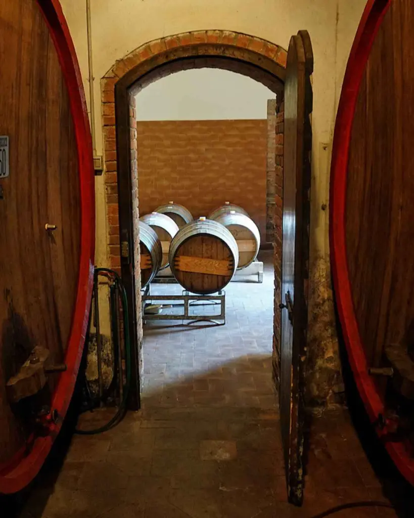 Castello di Selvole, wine cellar.webp
